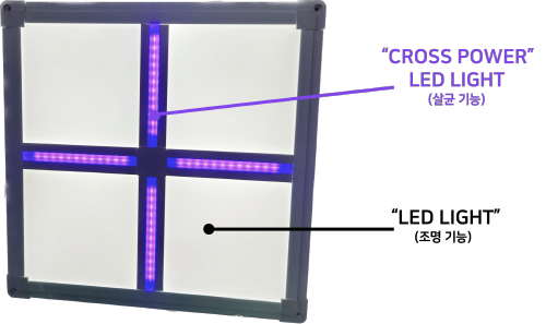 LEDSOFT RAPHAB